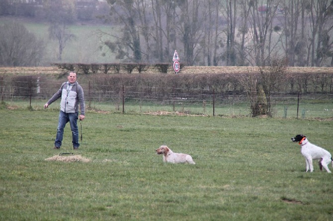 Du Mont de Crème - demonstration chien d arret lycee agricole a vervins 02140